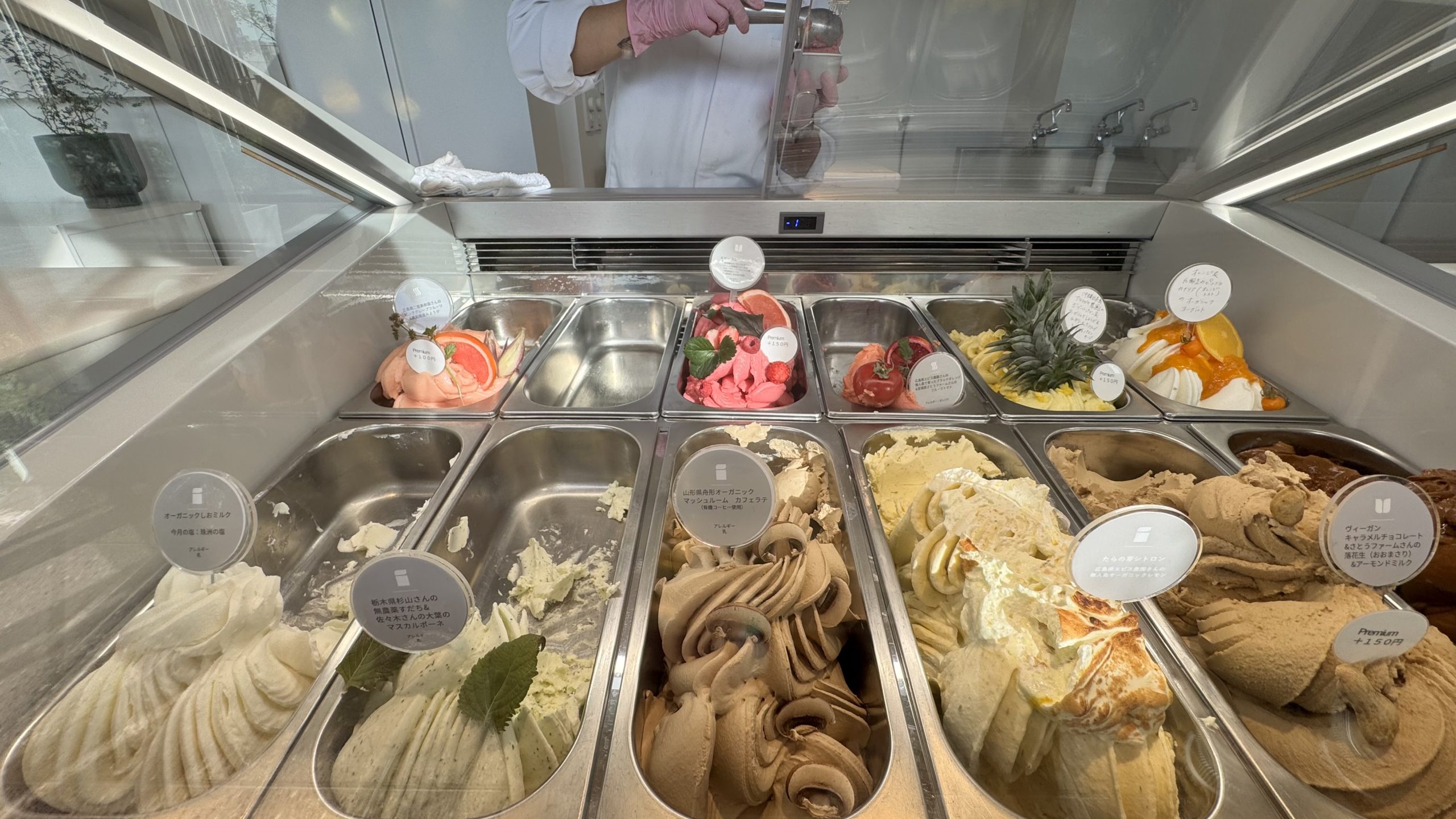 Eriko Osawa Earthly Gelato