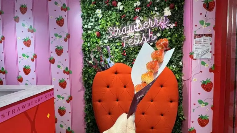 Strawberry Fetish 原宿2号店 (ストロベリー フェチ)