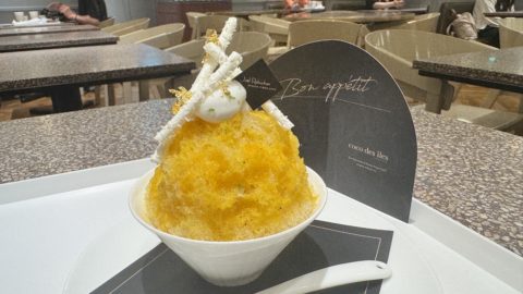 ジェラート ピケ カフェ ビオ コンセプト