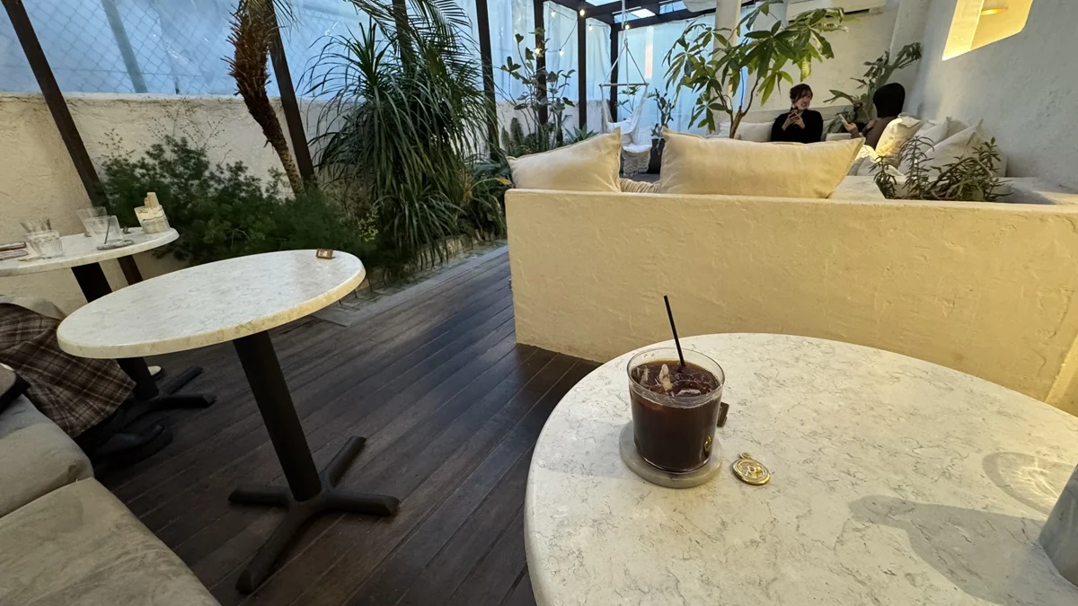 &t cafe 温室ガーデン席とソファ