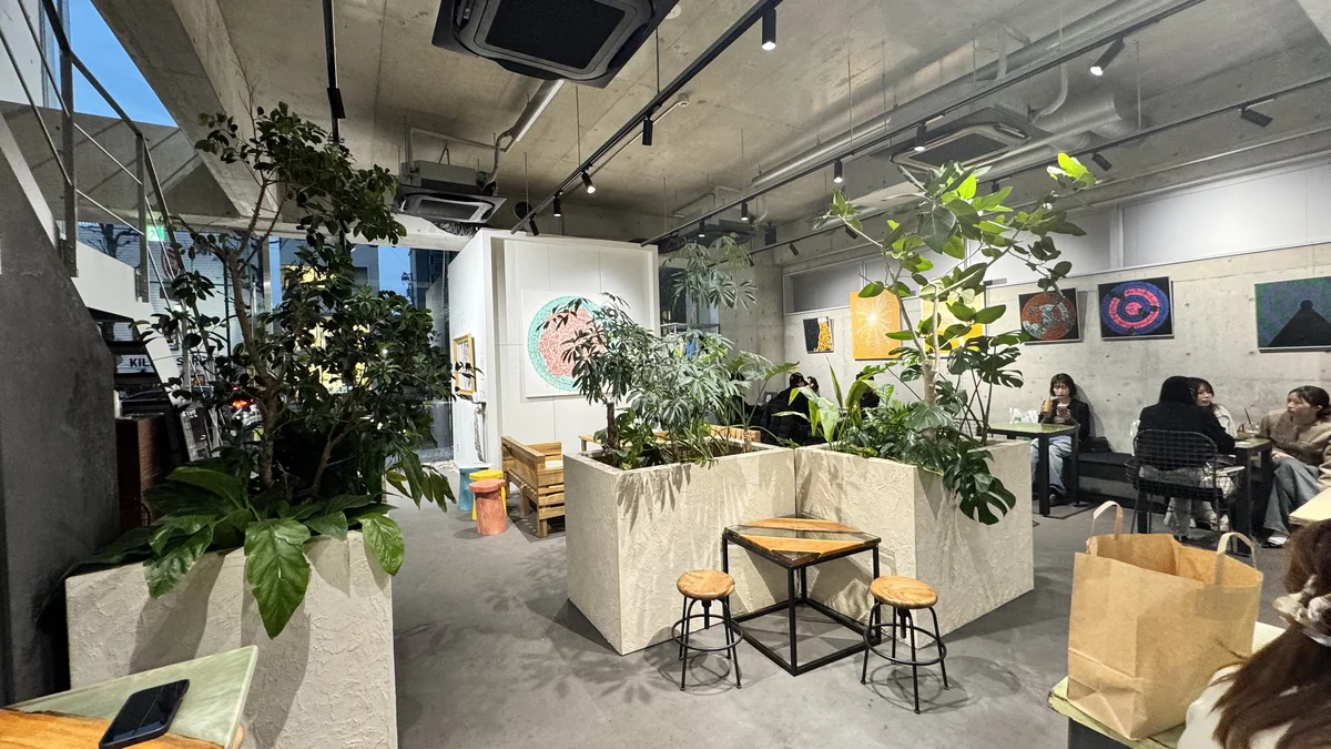 Esquisse Coffee店内のグリーンと観葉植物。自然とアートが融合した空間